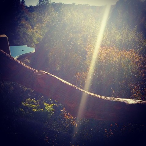 1798427_578235355625_4010788224749191733_n